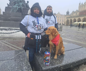 34. finał WOŚP w Krakowie. Golden Retrievery na Rynku Głównym
