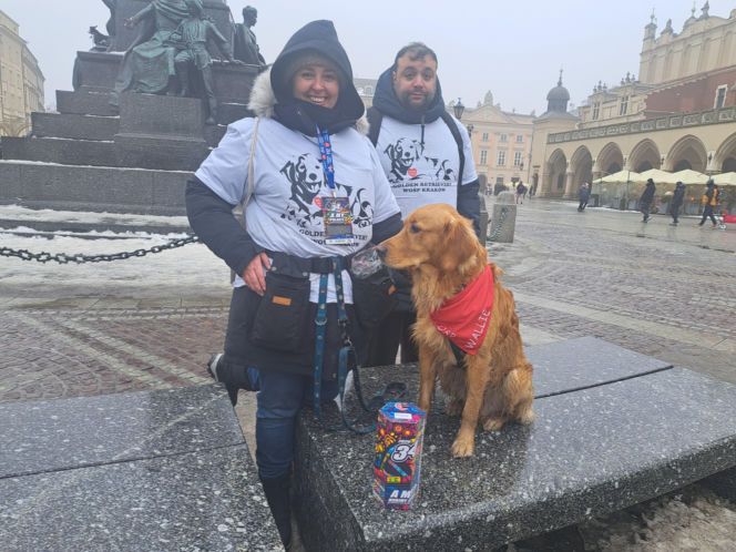 34. finał WOŚP w Krakowie. Golden Retrievery na Rynku Głównym