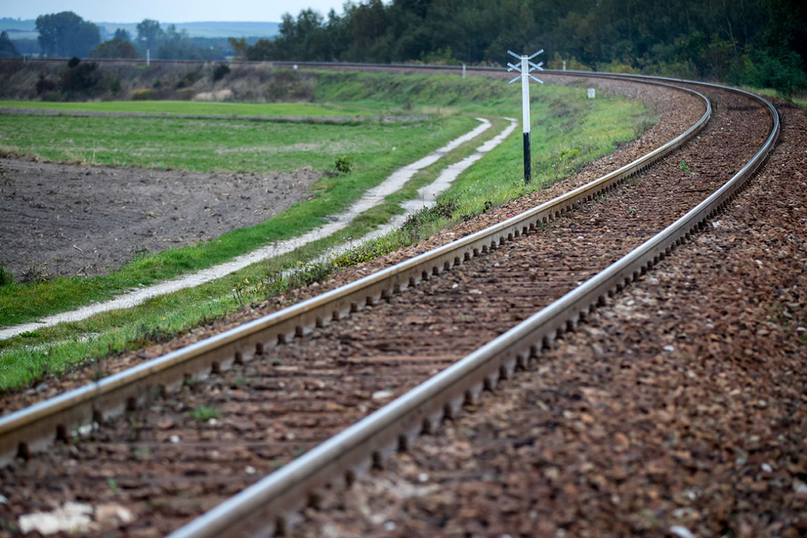 Przejechał po nim pociąg i żyje