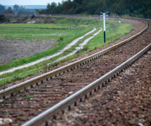 Przejechał po nim pociąg i żyje
