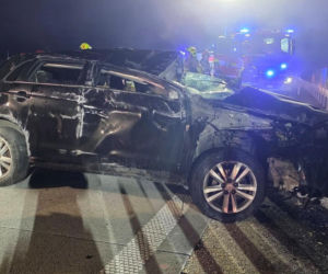 Zderzenie z łosiem na A2 pod Siedlcami. Ranne zostały dwie kobiety podróżujące Mitsubishi!