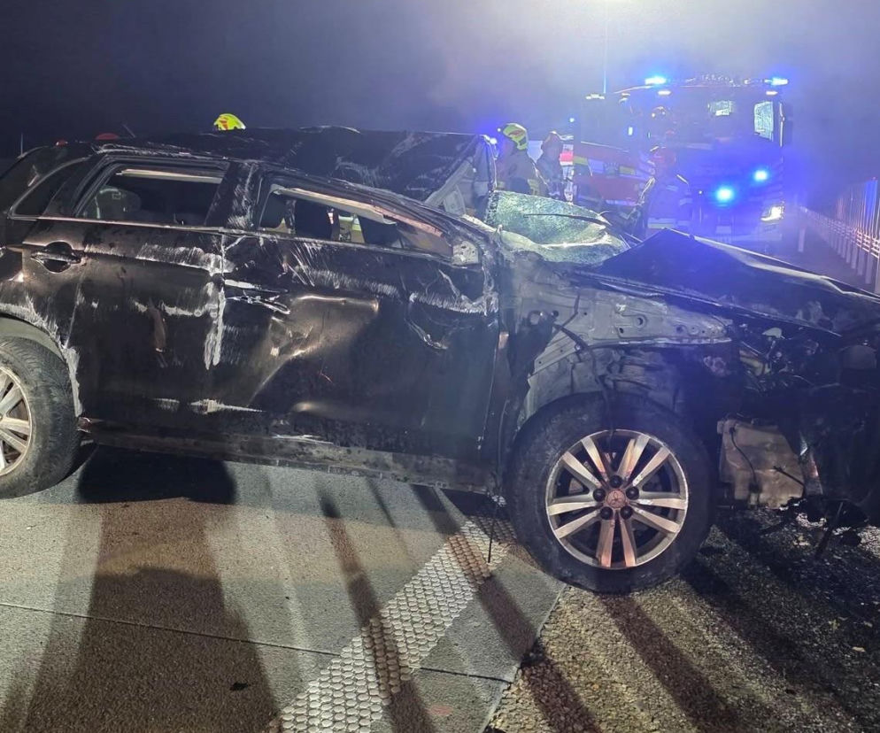 Zderzenie z łosiem na A2 pod Siedlcami. Ranne zostały dwie kobiety podróżujące Mitsubishi!