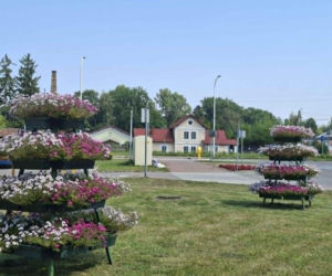 Bodzechów