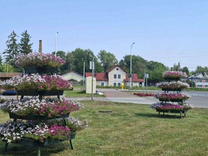 Bodzechów