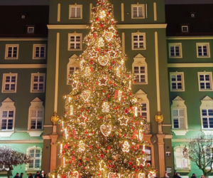 Choinka przed urzędem miasta w Szczecinie