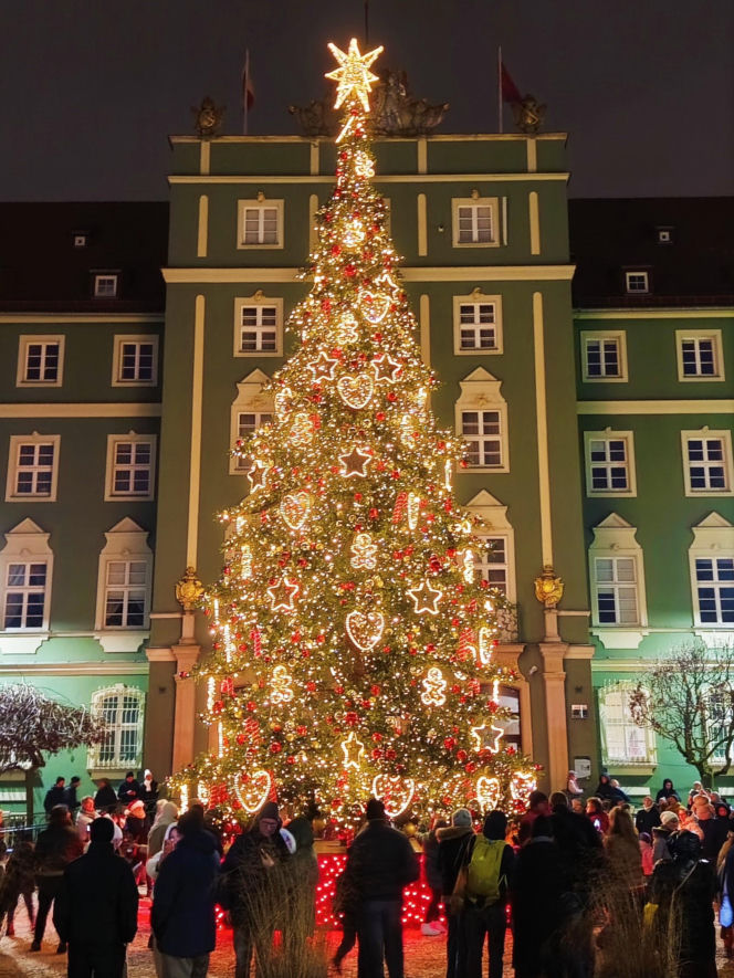 Choinka przed urzędem miasta w Szczecinie