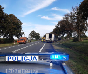 Tragiczny wypadek w Ostaszewie. Nagły manewr i straszna śmierć kierowcy