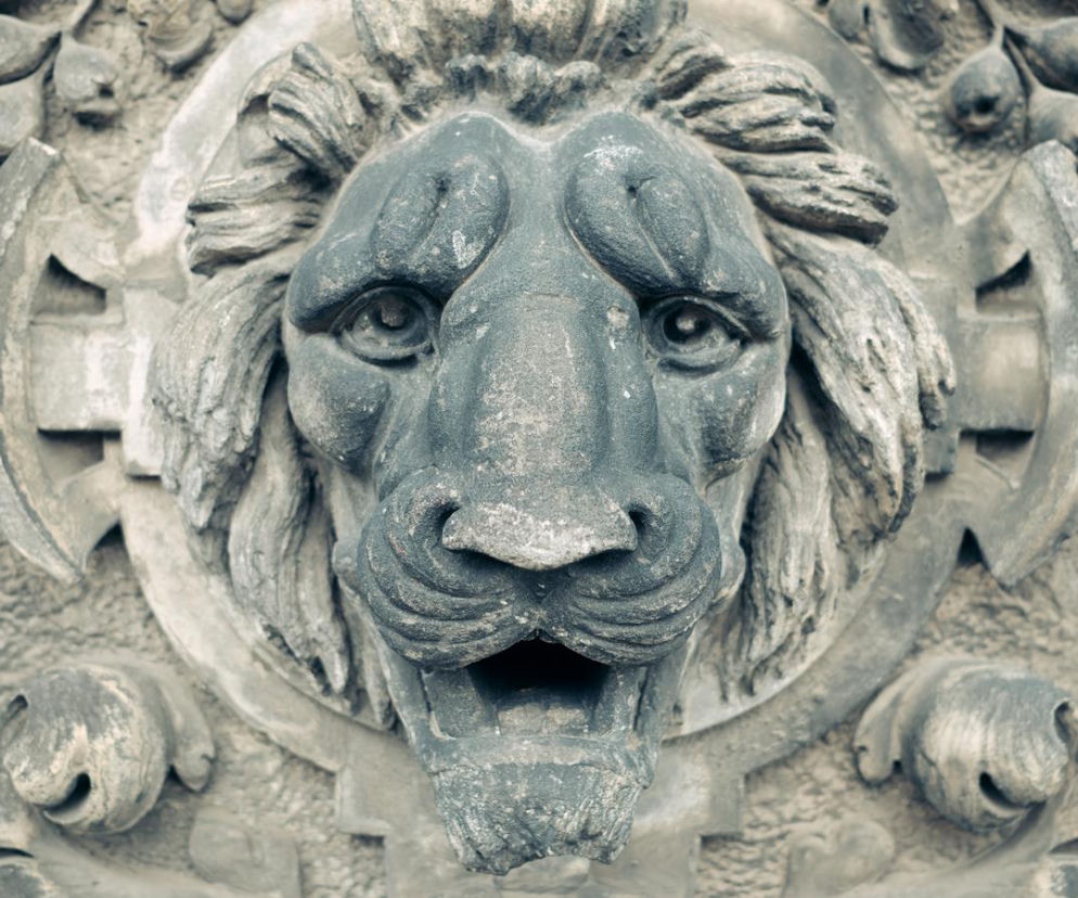Spacer wokół Muzeum Narodowego we Wrocławiu