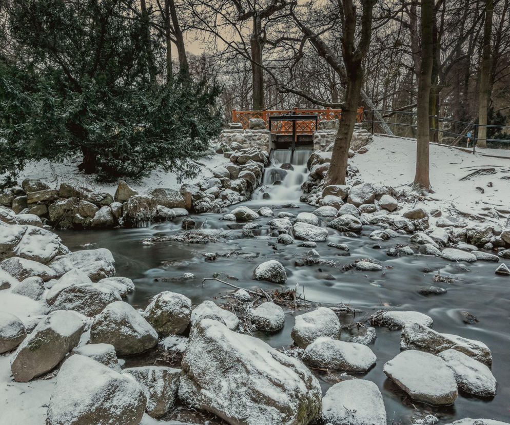 Park Oliwski [ZDJĘCIE DNIA]