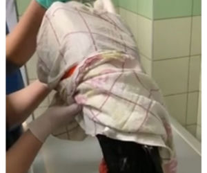 Cudem doleciał do Polski