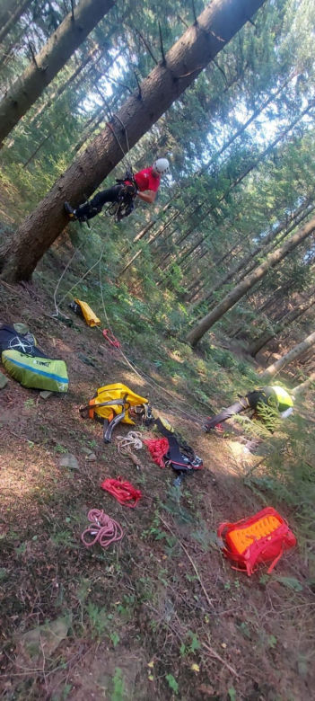 Przez 1,5 godziny wisiała na drzewie i nie mogła zejść. Kobiecie pomogli goprowcy