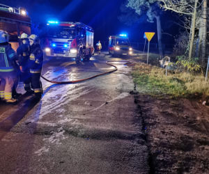 Fatalny wypadek pod Mińskiem Mazowieckim. Auto stanęło w płomieniach