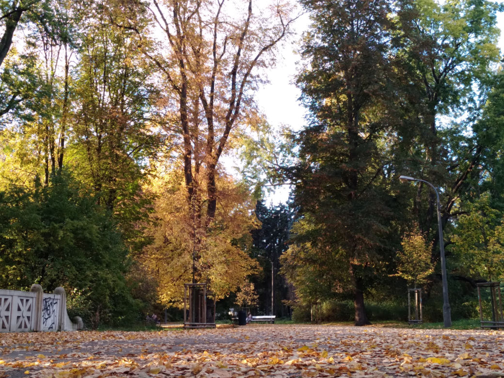 Park Skaryszewski