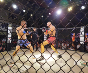 Fotorelacja z Gali Sportów Walki Taurus Fight Arena 2026 w Siedlcach