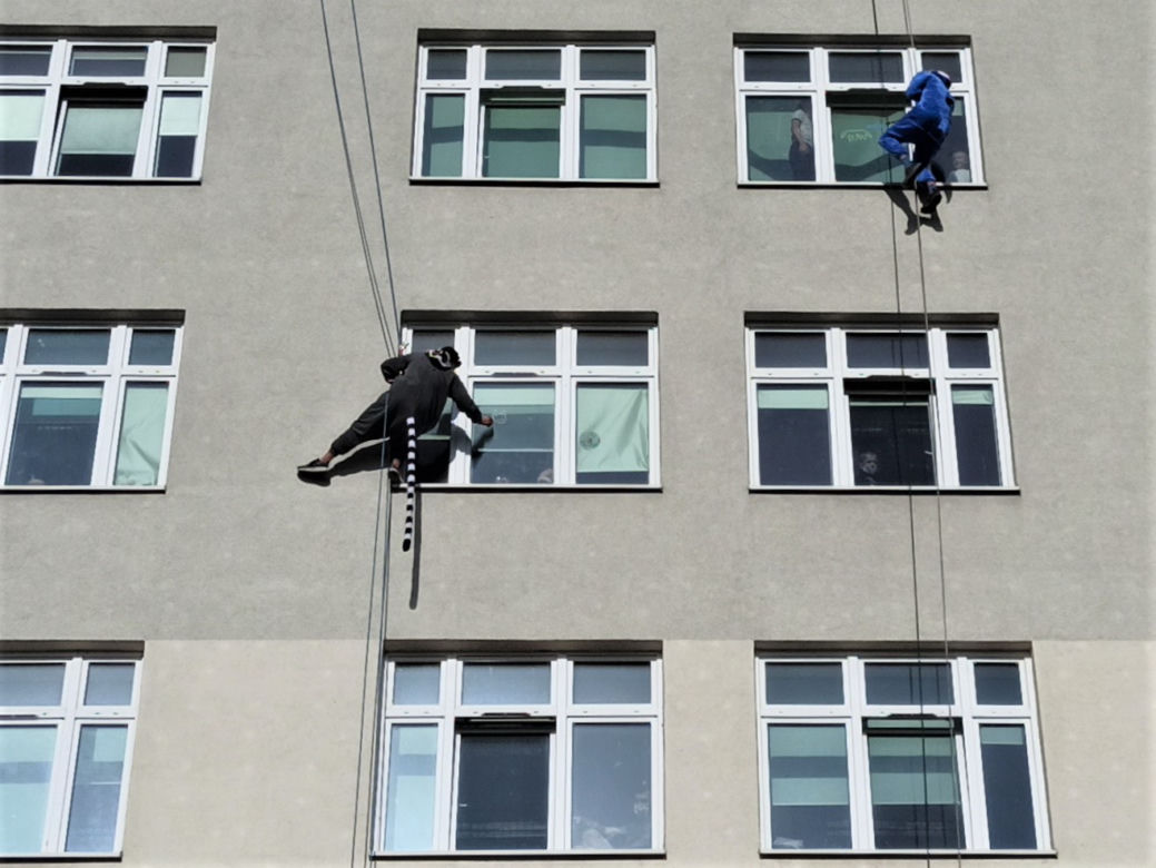 Niezwykła niespodzianka dla małych pacjentów GCZD