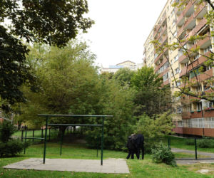 Budują nam blok pod nosem! Mieszkańcy przeżywają dramat