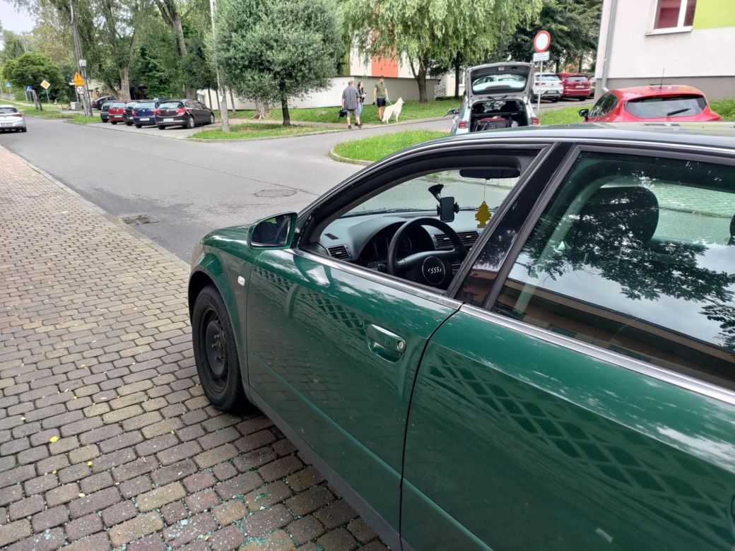 "Wyleciał mi przed maskę"