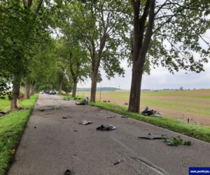 Tragiczny wypadek porsche w Olszewie. Auto spłonęło, dwaj biznesmeni nie żyją [ZDJĘCIA]