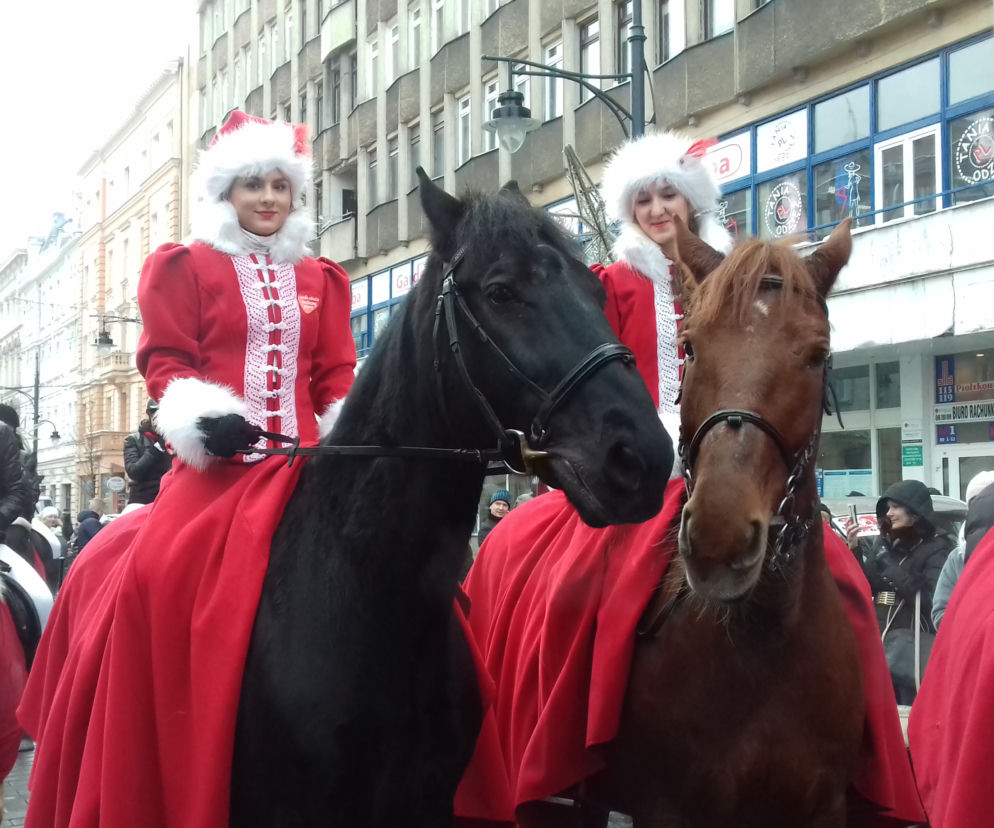 Parada konna