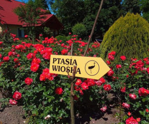 Ptasia Wioska w Adamkowie