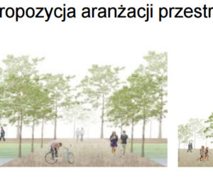 Żmigród od nowa? Nowe budynki i mniej samochodów