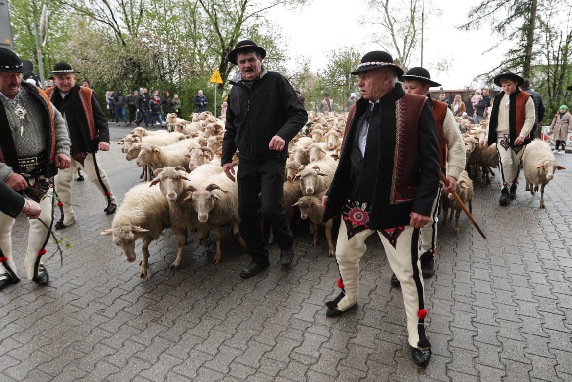 Redyk i Święto Bacowskie w Ludźmierzu