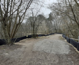 Ochrona żab na Barbarce