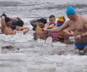 Lodowata woda, gorące emocje. Morsy znów opanowały jezioro pod Bydgoszczą