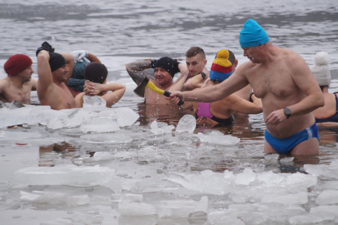 Lodowata woda, gorące emocje. Morsy znów opanowały jezioro pod Bydgoszczą