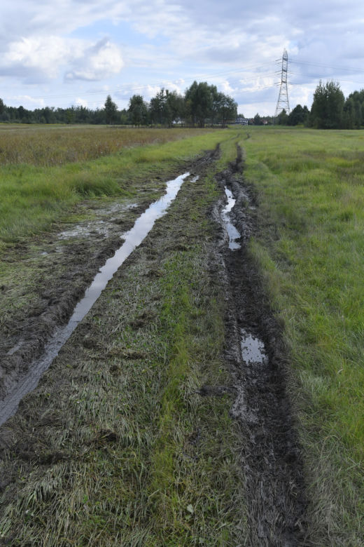 Całonocne poszukiwania