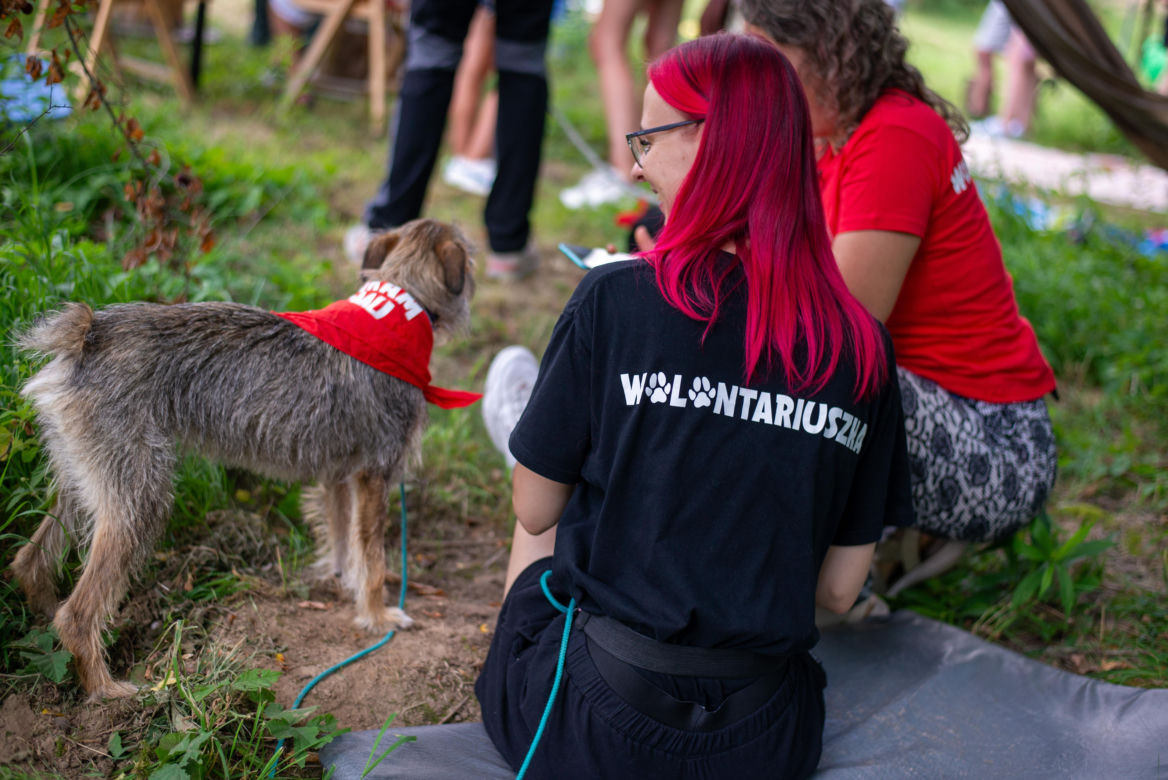 Otwarcie wybiegu dla psów w zamojskim schronisku - Pixie