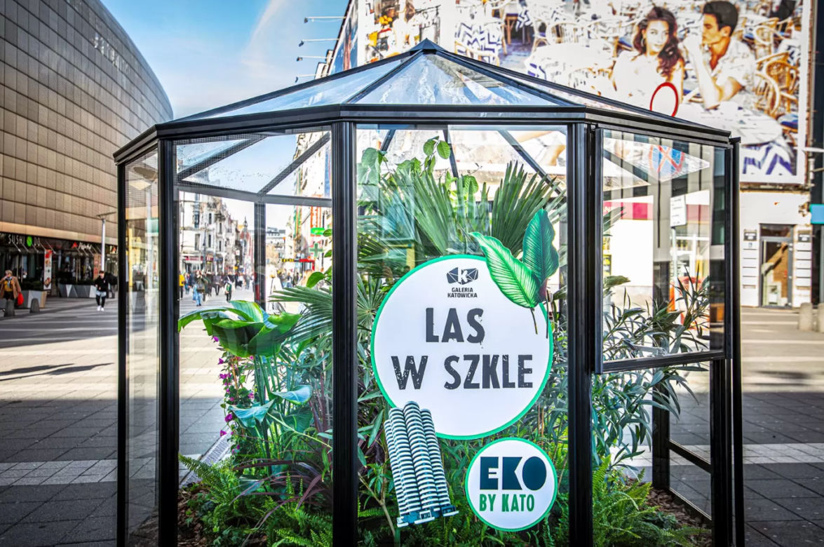 Śródziemnomorski las w słoiku w centrum Katowic. To nie żart!