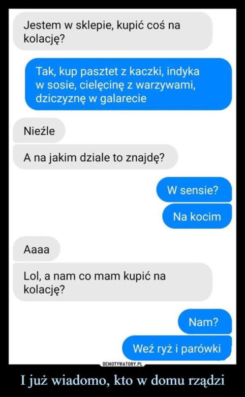 Koty opanowały internet! Memy z mruczkami bawią do łez [TOP 45]