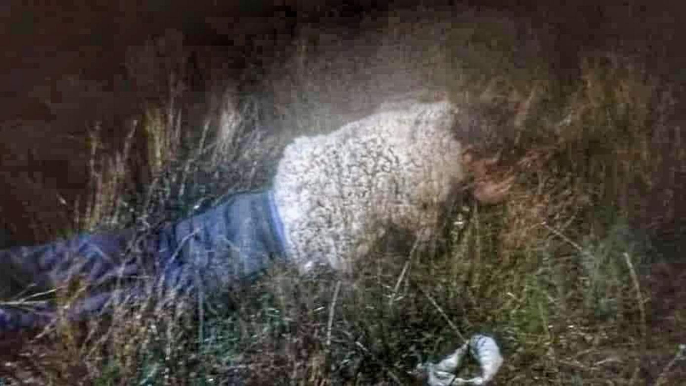 Bandyta uciekał z więzienia w przebraniu owcy! Padniesz na jego widok