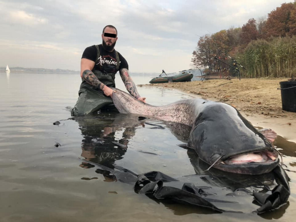  Zanim walczył w MMA, łapał grube ryby. Przeszłość "Apteki" zaskakuje!
