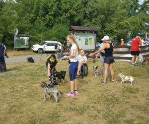pieski bieg charytatywny