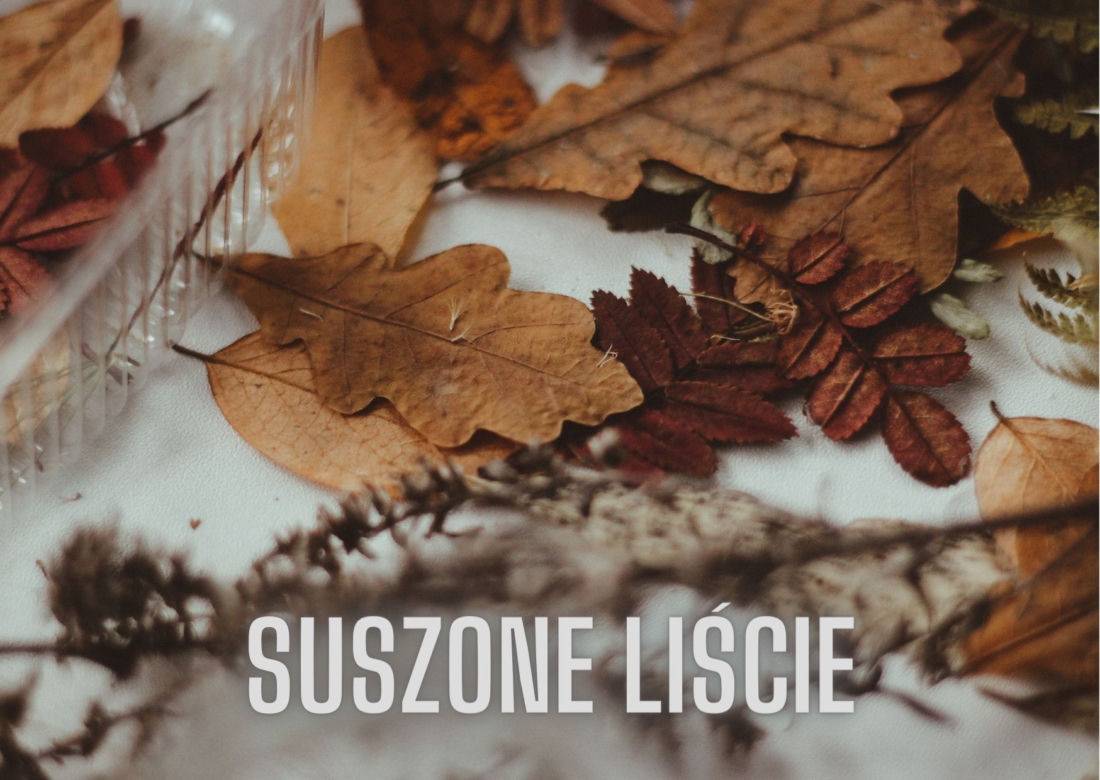 Dekoracje na jesień w niskiej cenie. Jak efektownie ozdobić dom? [GALERIA]