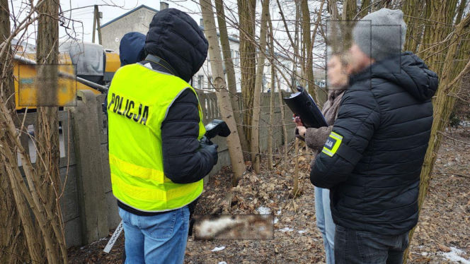 Miesiącami znęcał się nad swoją partnerką, nie oszczędził też jej psa. Wyrzucił Maltańczyka przez okno!