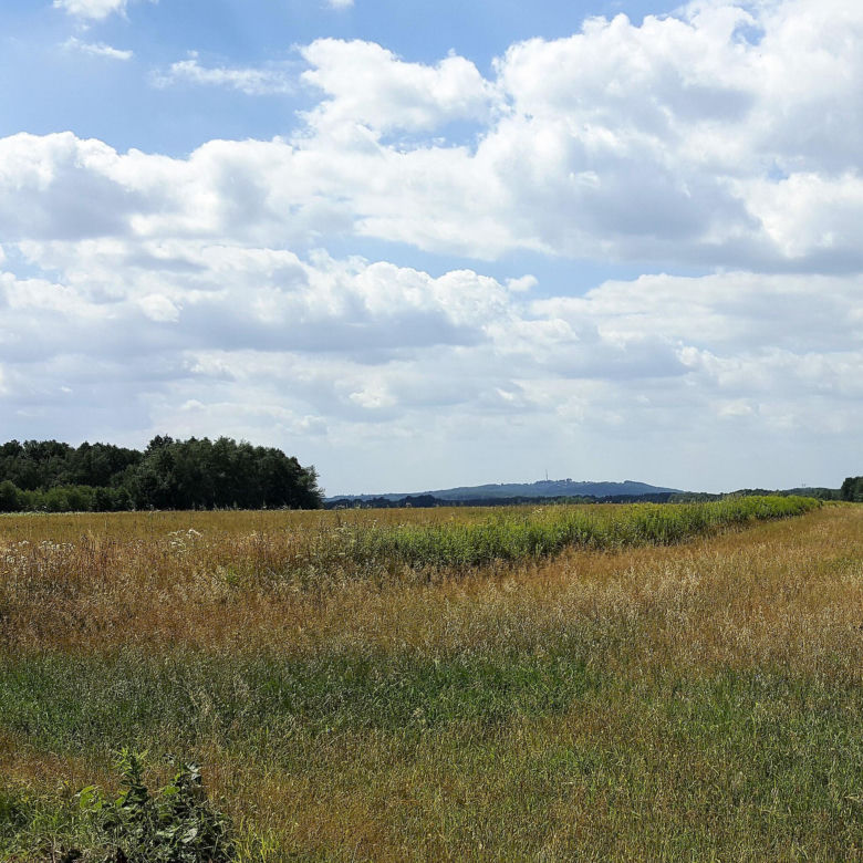 Szlak turystyczny z Tarnowa do Tuchowa