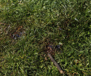 Strzelanina w Bystrzycy Kłodzkiej