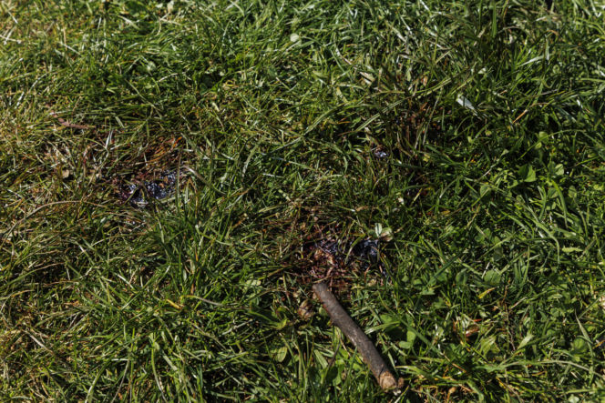 Strzelanina w Bystrzycy Kłodzkiej