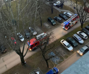 Wersalka, najlepszy przyjaciel złodzieja, gdy zapuka policja