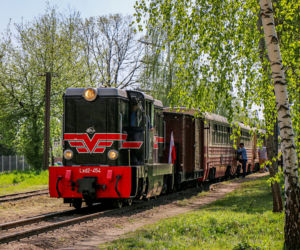 Warszawska podróż w czasie. Kultowe „Parówki”, Ikarusy i Jelcze wracają na trasy