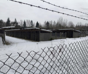 Ujadanie słychać z kilometrów. Odwiedziliśmy schronisko w Sobolewie. Tak nie brzmią szczęśliwe pieski