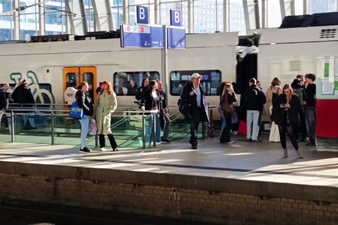 Transport publiczny w Niemczech