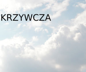 Na tych nazwach miejscowości na Podkarpaciu możesz połamać język