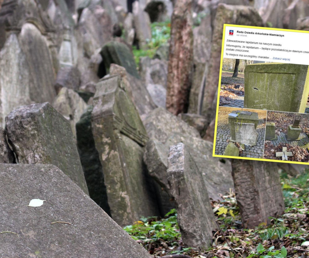 Wandalizm w lapidarium. Zniszczone nagrobki, złamany krzyż i oburzenie mieszkańców