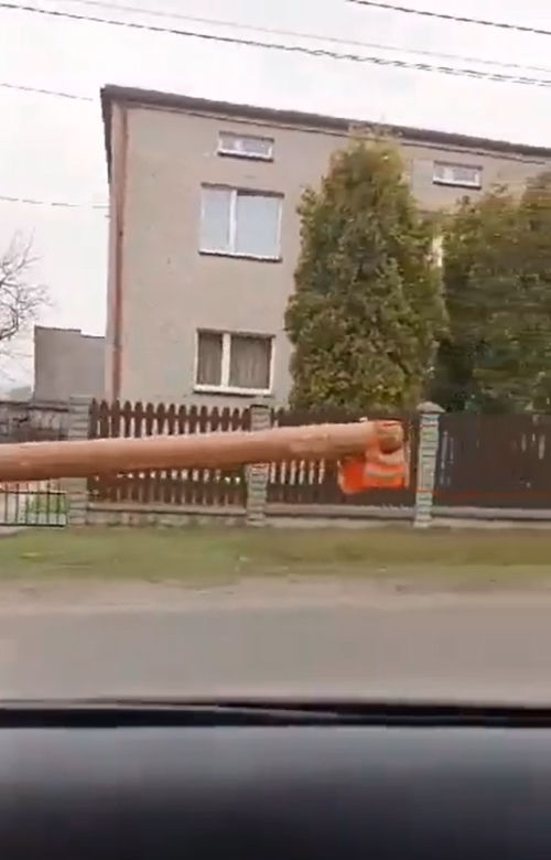Wiózł cinquecento wielkie kawały drzewa. Auto ledwo jechało. W końcu zatrzymała go policja