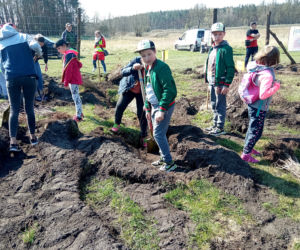 Akcja Grudziądzanie sadzą las!