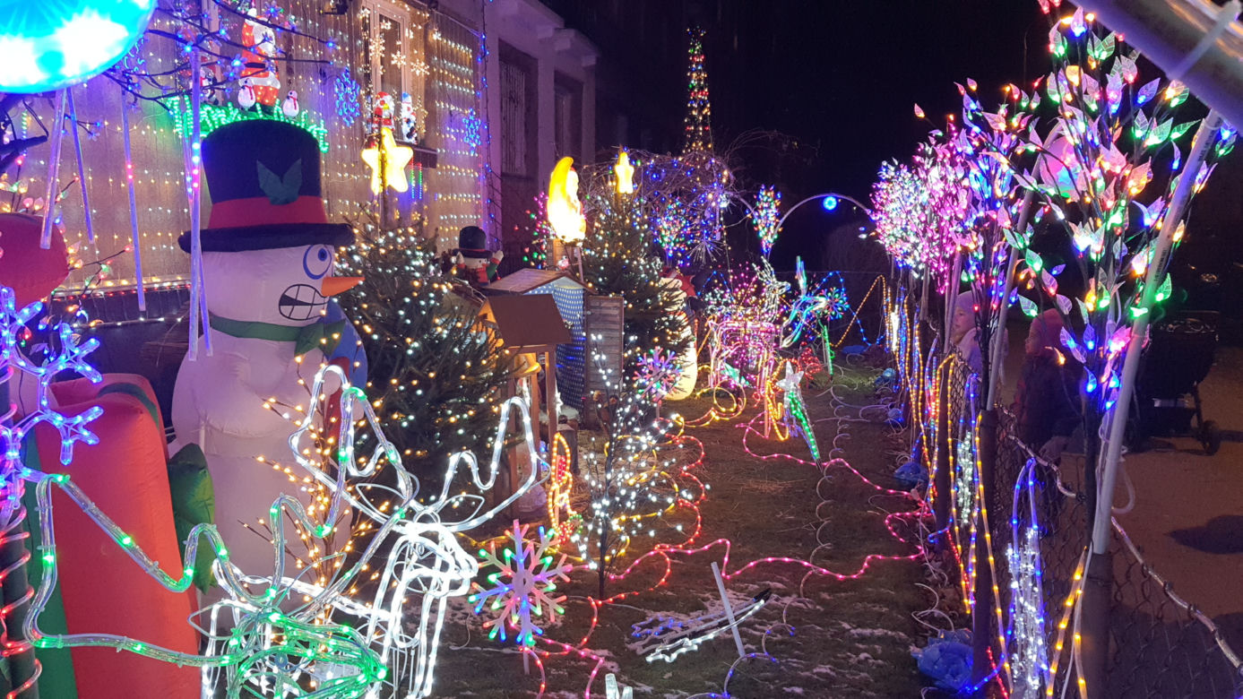 Odlotowy ogród na Bielanach. Niesamowite iluminacje!  